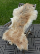 Lammfelle vom Stampfbauer in Puchberg