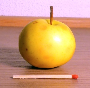 Stampfbauer Wildapfel mit Streichholz
